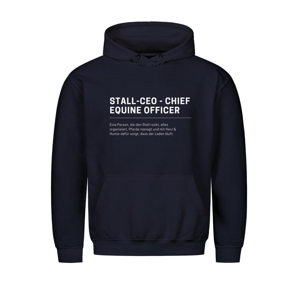 Image for color: new french navy